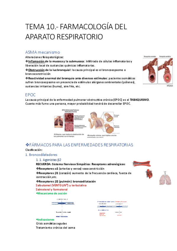Miniatura del documento Tema-10-farmacologia-del-aparato-respiratorio.pdf