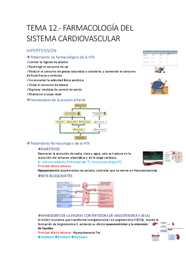 Miniatura del documento TEMA-12-farmacologia-del-sistema-cardiovascular.pdf