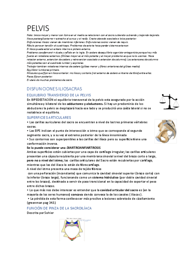 Miniatura del documento Pelvis.pdf
