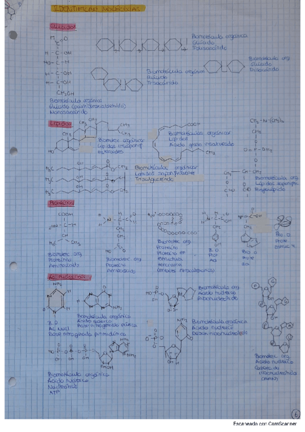 Miniatura del documento Identificar-moleculas-organicas-y-ciclar-monosacaridos-y-disacaridos.pdf