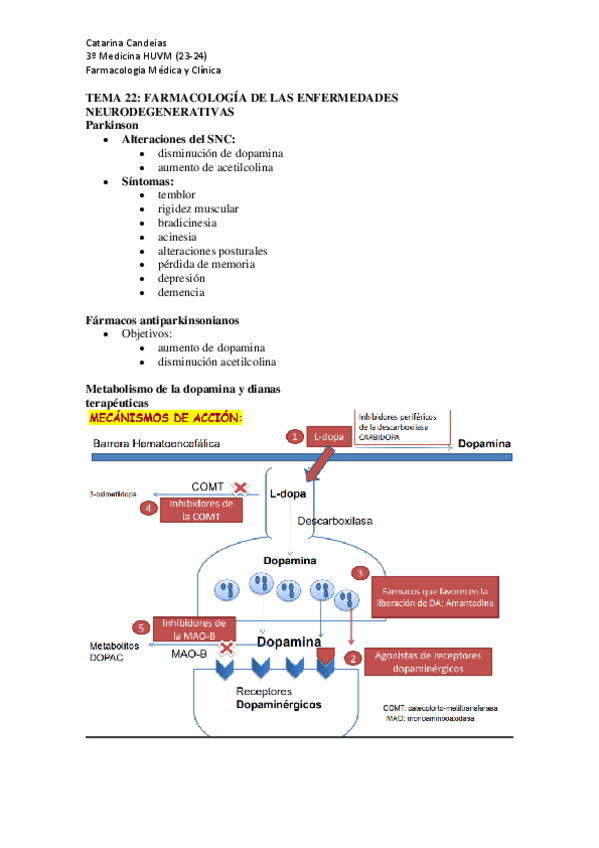 Miniatura del documento TEMA-22-FARMACOLOGIA-DE-ENFERMEDADES-NEURODEGENERATIVAS.pdf