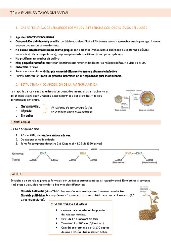 Miniatura del documento TEMA-8-MICROBIOLOGIA.pdf