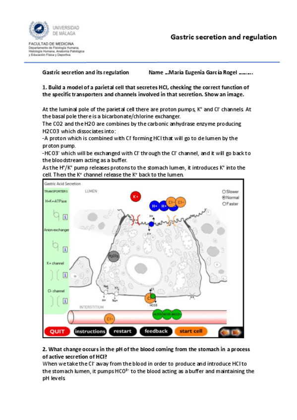 Miniatura del documento Gastric-secretion-multimedia-2.pdf