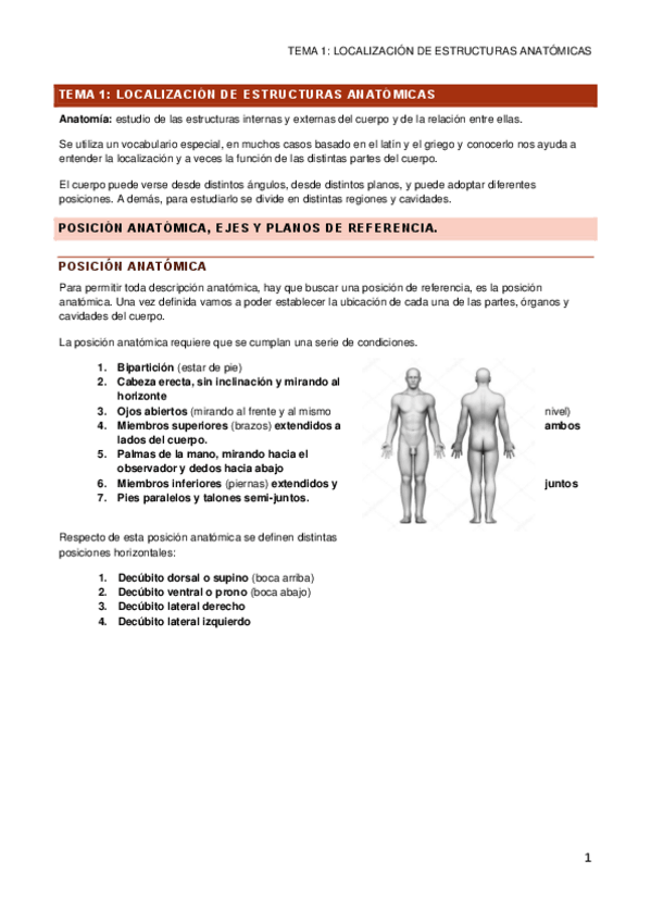 Miniatura del documento ANATOMIA-COMPLETO-FISIO.pdf