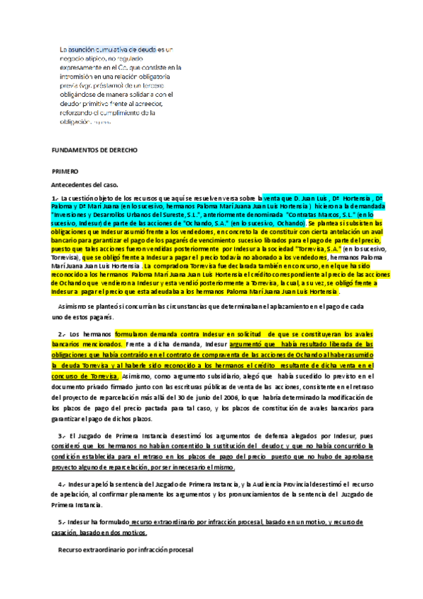 Miniatura del documento STS-Asuncion-cumulativa-de-deuda.pdf