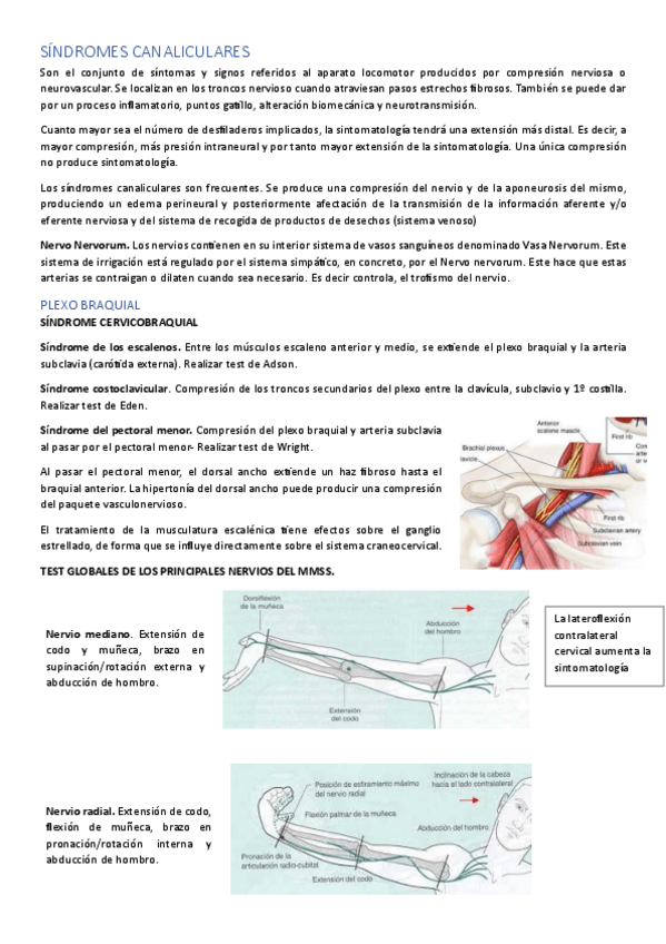 Miniatura del documento SINDROMES-CANALICULARES-MET-2.pdf