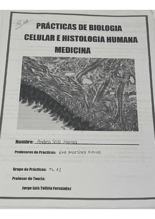 Miniatura del documento Cuadernillo de Prácticas Biocel 2022-2023 (1º MEDICINA).pdf