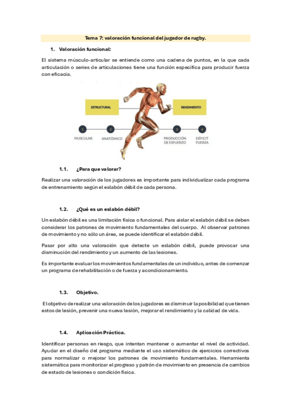 Miniatura del documento Tema-7.-Valoracion-funcional-del-jugador-de-rugby.pdf