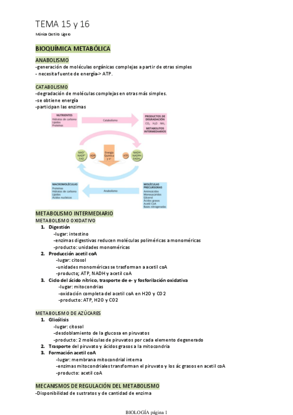 Miniatura del documento TEMA-15-y-16.pdf