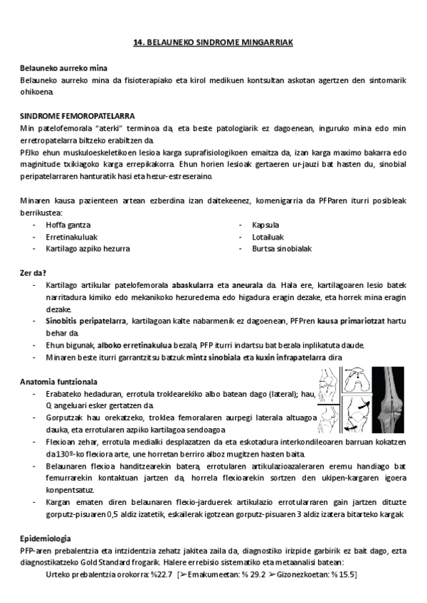 Miniatura del documento 14.-Belauneko-sindrome-mingarriak.pdf