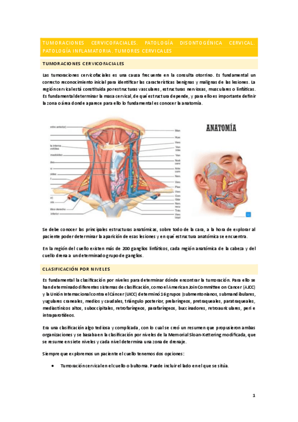 Miniatura del documento Tumoracion-cervical.pdf