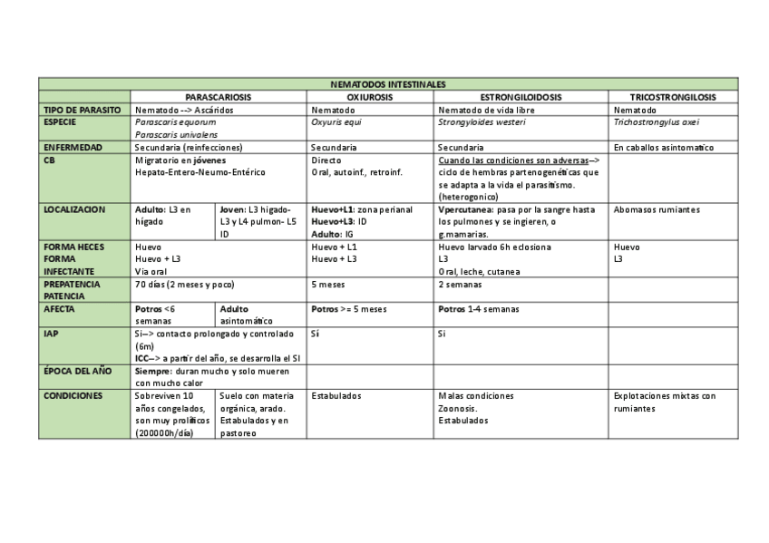 Miniatura del documento CABALLOS-2.pdf