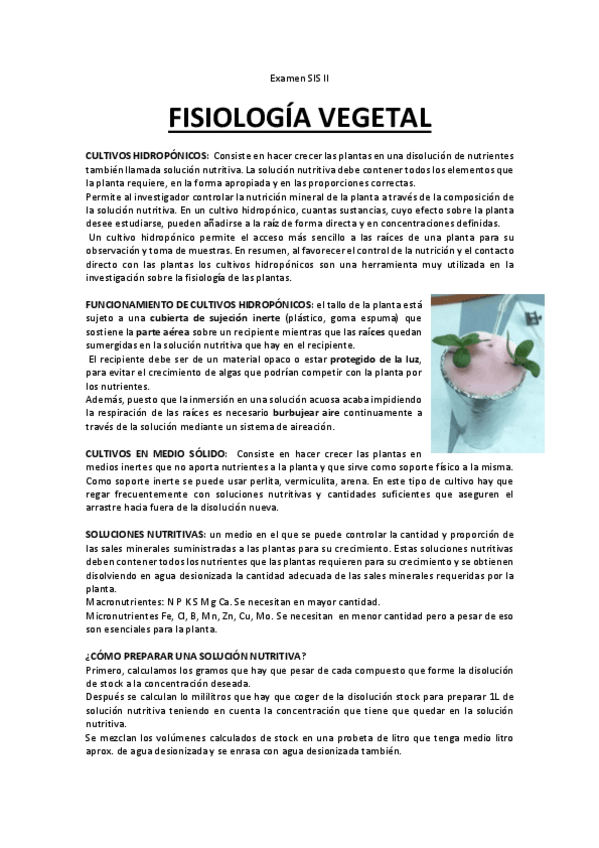 Miniatura del documento examen sis.PDF.pdf