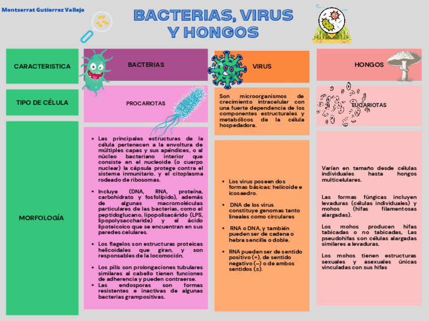 Miniatura del documento GUTIERREZ-ACTIV2-00468735-50269.pdf