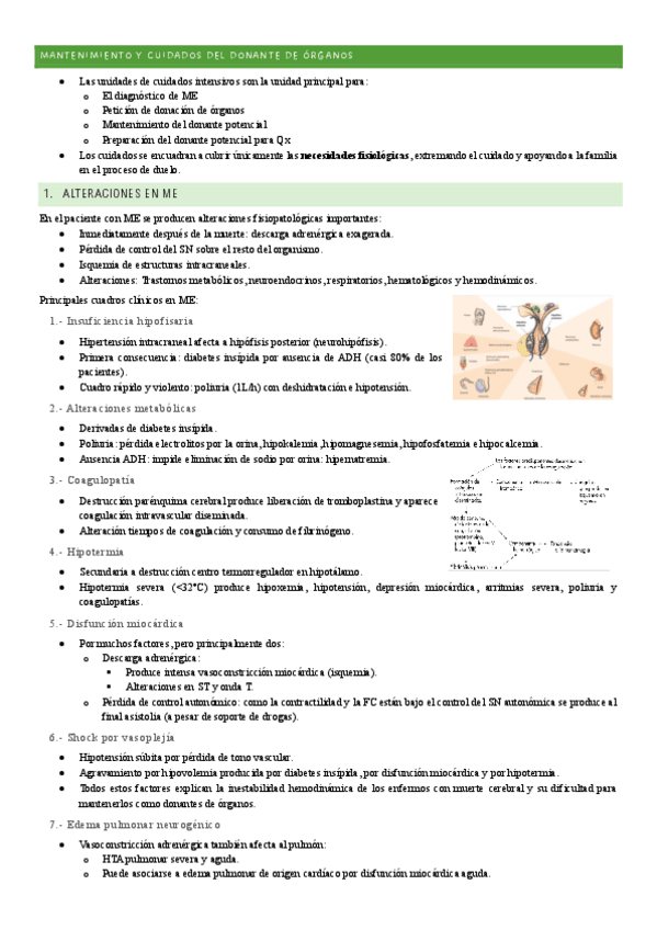 Miniatura del documento MQ-IV-11-Mantenimiento-y-cuidados-del-donante-de-organos.pdf