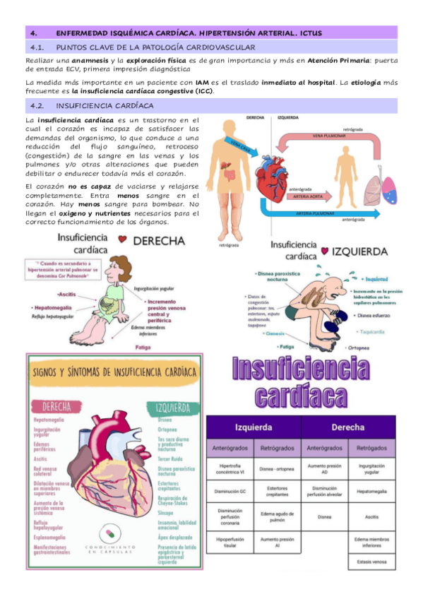 Miniatura del documento Tema-3.4.-Enfermedad-isquemica-cardiaca.-Hipertension-arterial.-Ictus.pdf