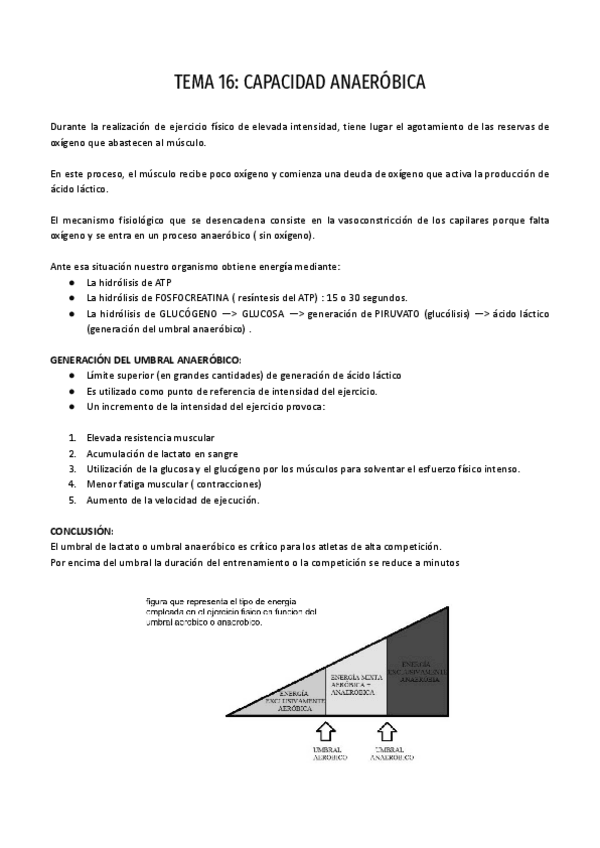 Miniatura del documento FISIOLOGIA-2-T.16.pdf