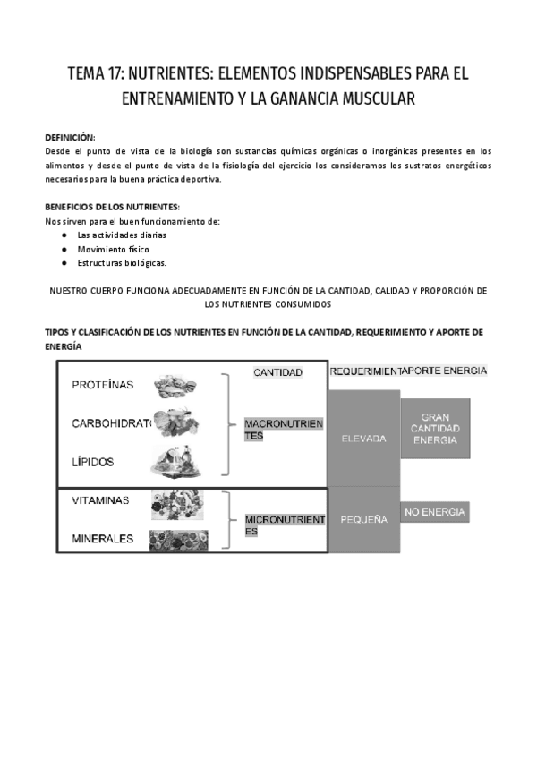 Miniatura del documento FISIOLOGIA-2-T.17.pdf