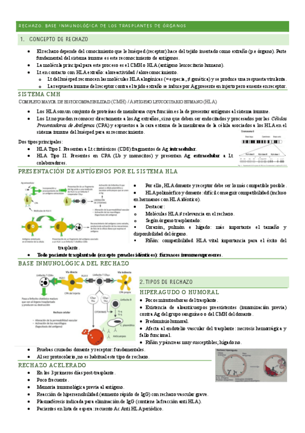 Miniatura del documento MQ-IV-13-Rechazo.-Base-inmunologica-de-los-trasplantes-de-organos.pdf