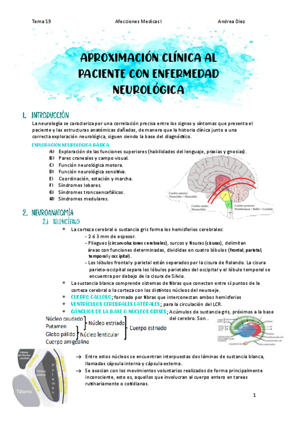 Miniatura del documento Tema-19-Aproximacion-clinica-al-paciente-con-enfermedad-neurologica.pdf