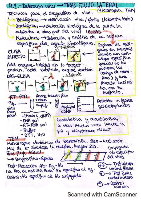 Miniatura del documento APUNTES-LAB-VEGETAL.pdf