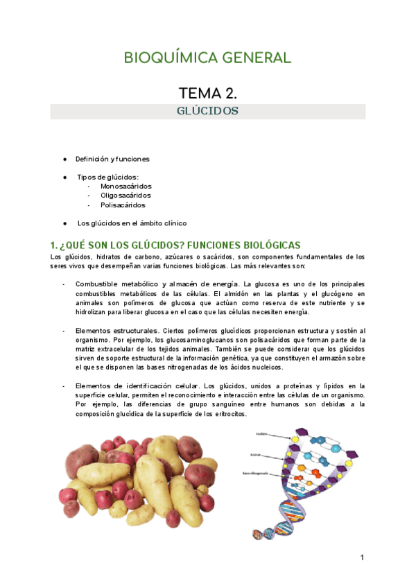 Miniatura del documento TEMA-2.-GLUCIDOS.pdf