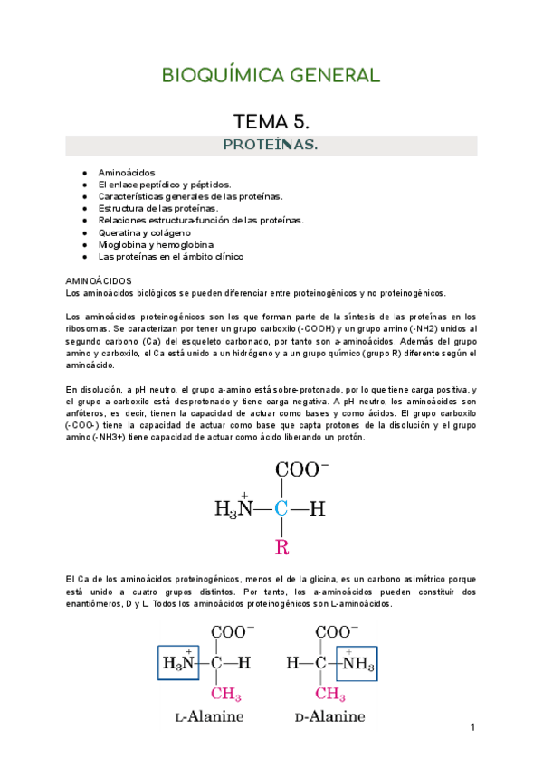 Miniatura del documento TEMA-5.-PROTEINAS.pdf