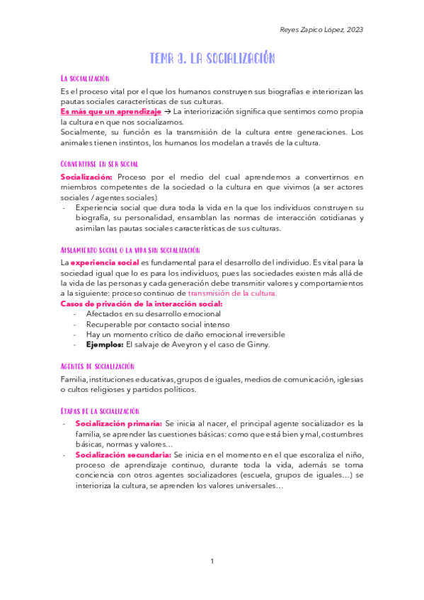 Miniatura del documento tema-3.-socializacion-2023.pdf