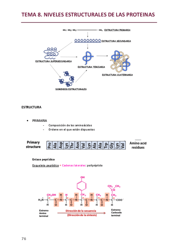 Miniatura del documento segundo-parcial-bioquimica.pdf