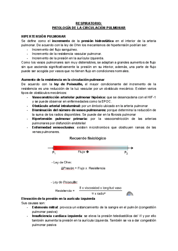 Miniatura del documento RESPIRATORIO.pdf