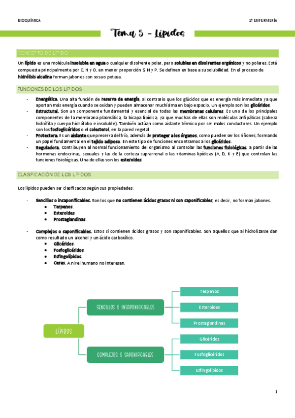 Miniatura del documento Tema-5-Lipidos.pdf