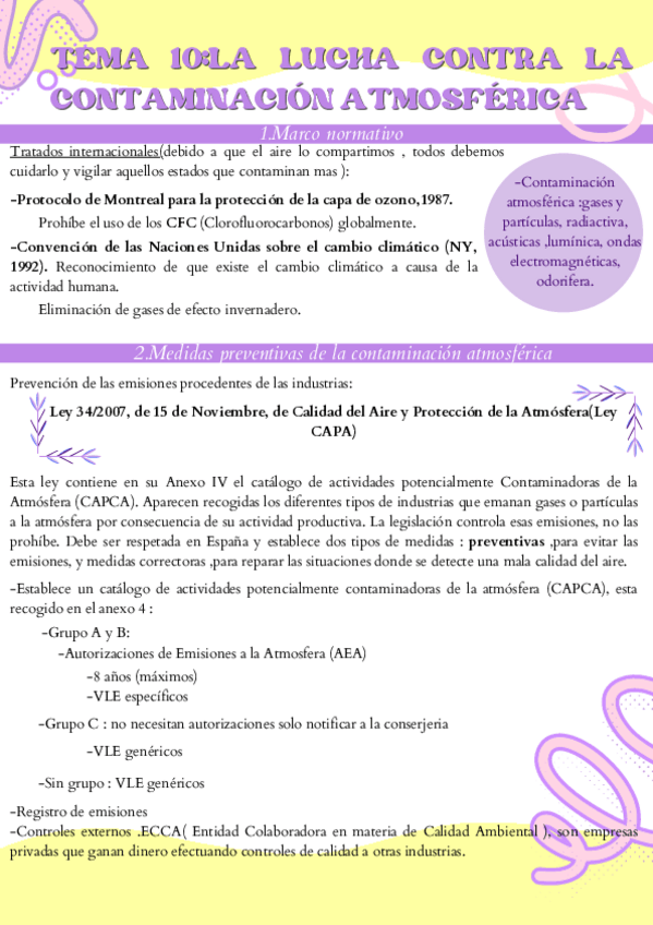 Miniatura del documento Tema-10.La-lucha-contra-la-contaminacion-atmosferica.pdf