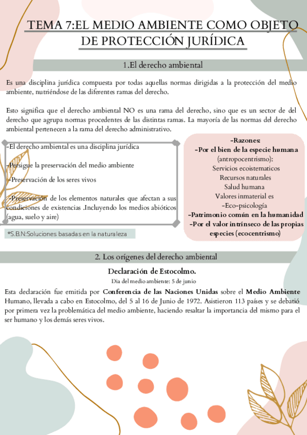 Miniatura del documento TEMA-7EL-MEDIO-AMBIENTE-COMO-OBJETO-DE-PROTECCION-JURIDICA.pdf