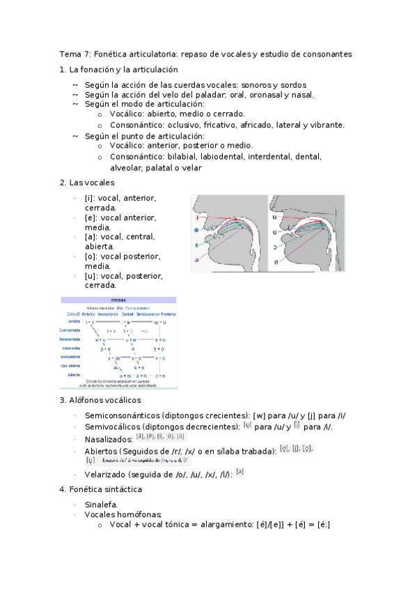 Miniatura del documento Tema-7-fonetica-y-fonologia.docx