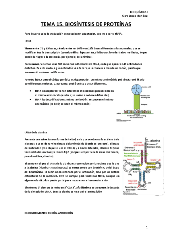 Miniatura del documento TEMA-15.-Biosintesis-de-proteinas.pdf