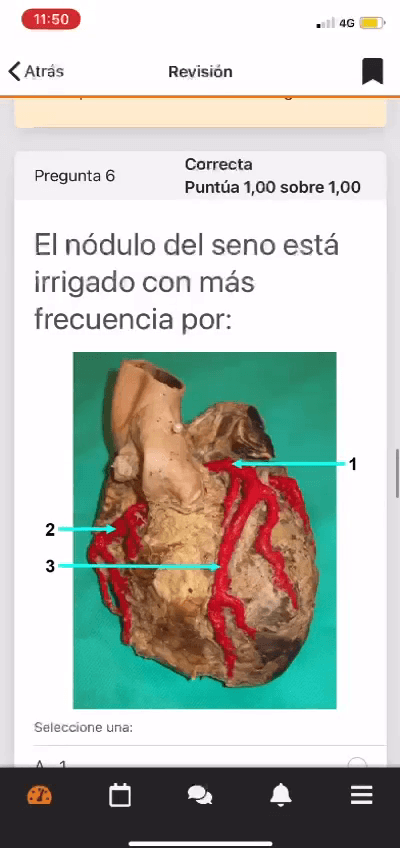 Miniatura del documento EXAMEN-PARCIAL-TORAX.MP4