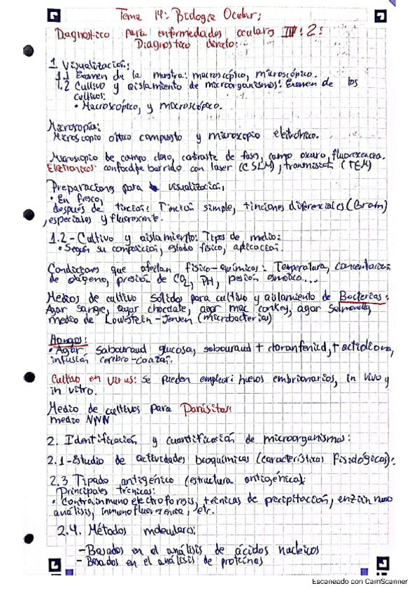 Miniatura del documento Tema-14-Biologia--Diagnostico-oculares-II.-Diagnostico-directo.pdf