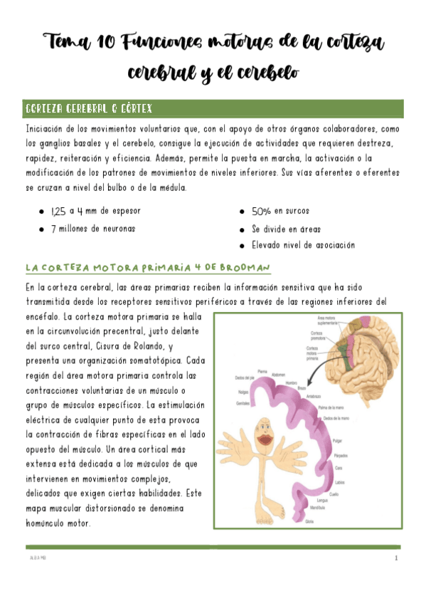 Miniatura del documento Tema-10-Funciones-motoras-de-la-corteza-cerebral-y-el-cerebelo.pdf