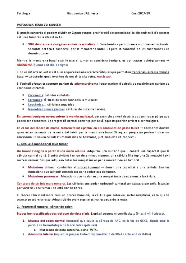 Miniatura del documento PATOLOGIA TEMA 20 - CANCER.pdf