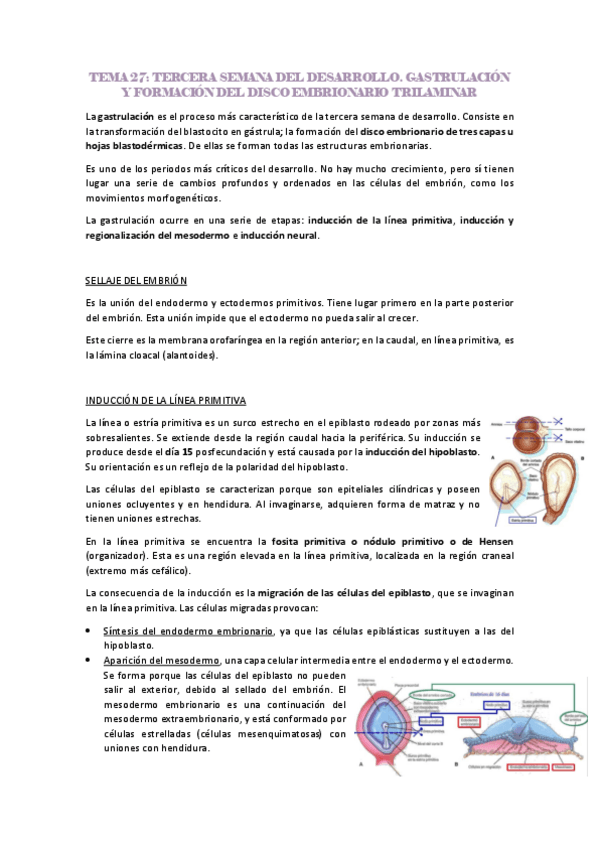 Miniatura del documento tercera-semana-de-desarrollo.pdf