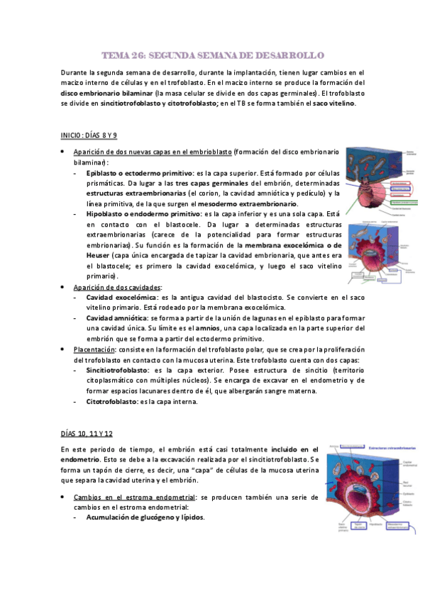 Miniatura del documento segunda-semana-de-desarrollo.pdf