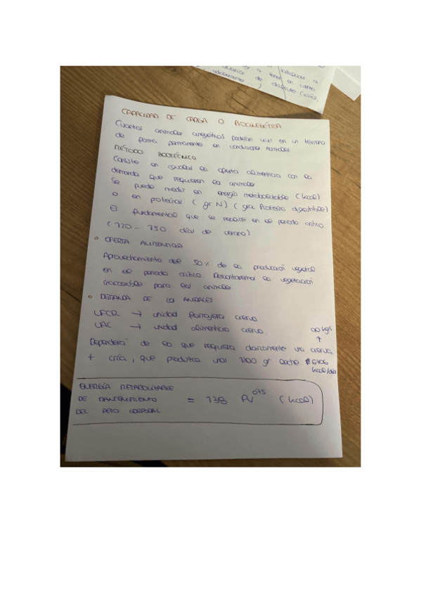 Miniatura del documento TEORIA-Y-PROBLEMAS-DE-CAPACIDAD-DE-CARGA.pdf