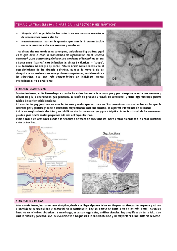 Miniatura del documento TEMA-2-ASPECTOS-PRESINAPTICOS.pdf