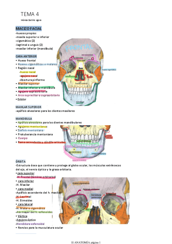 Miniatura del documento TEMA-4.pdf