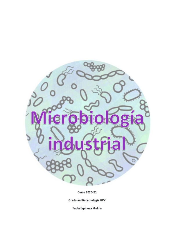 Miniatura del documento Teoria-MI-paula.pdf
