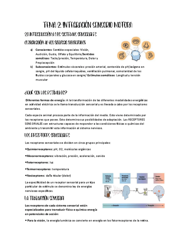 Miniatura del documento TEMA-2.pdf