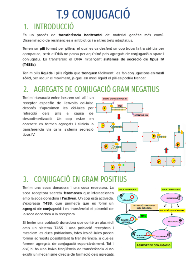 Miniatura del documento T.9-CONJUGACIO.pdf