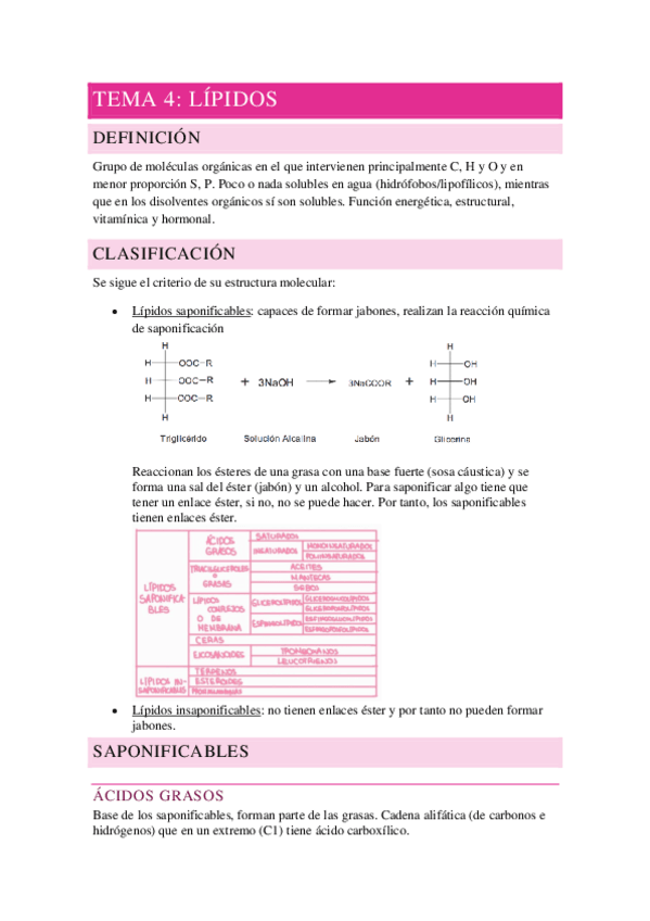 Miniatura del documento LIPIDOS.pdf