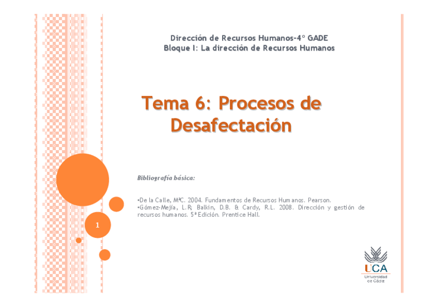 Miniatura del documento TEMA-6-PROCESOS-DE-DESAFECTACION-1-por-hoja-5.pdf