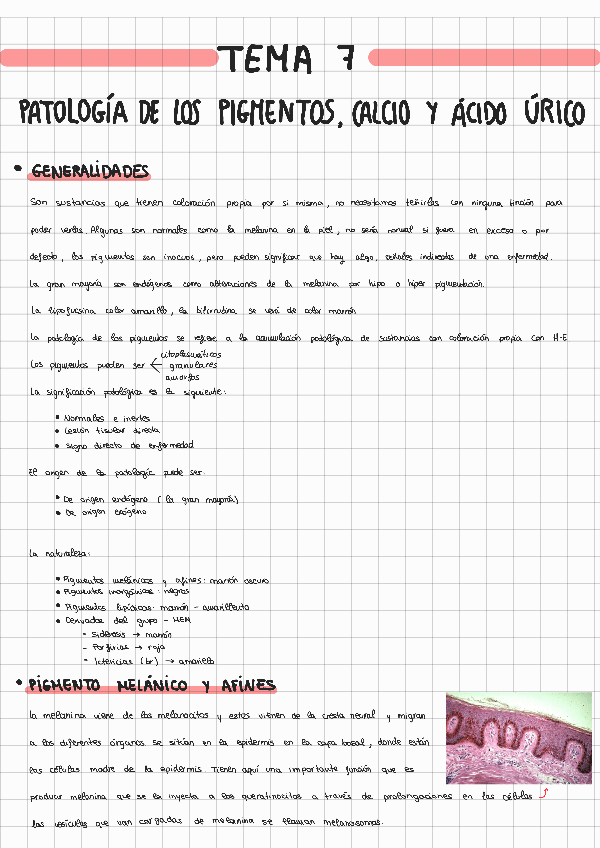 Miniatura del documento TEMA-7-ANATOMIA-PATOLOGICA.pdf